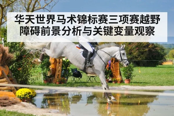 horse rider eventing water jump
